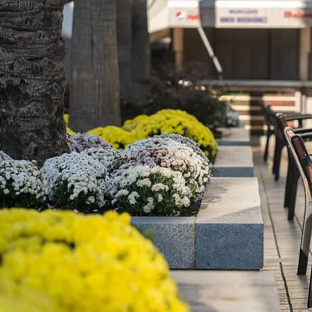 ゲストハウス Antiguo Palacio Paris